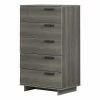 South Shore Cavalleri 5-Drawer Chest Storage Unit -South Shore shop unnamed file 561